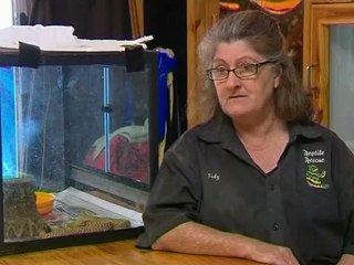 Teenager survives world's most venomous snake bite