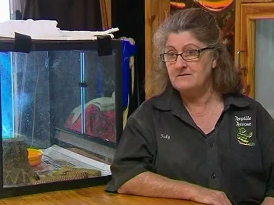 Teenager survives world's most venomous snake bite