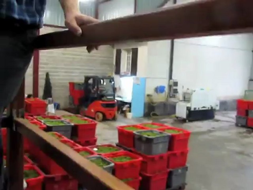 Les vendanges chez Marc Bijotat-Romeny-sur-Marne
