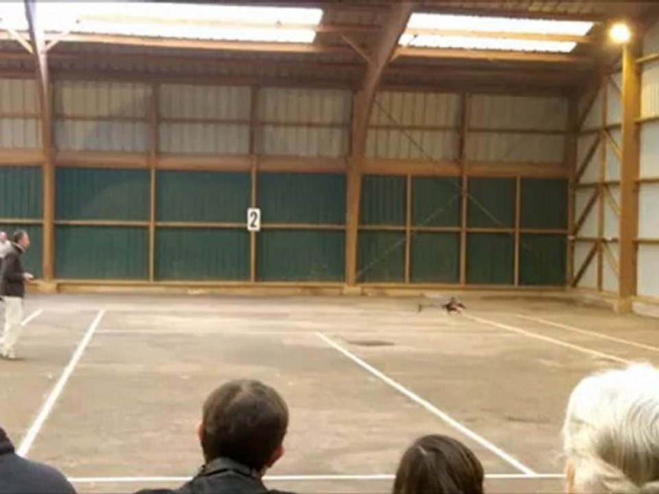 RMCS - Démonstrations vol Hélico HELIPAPOU