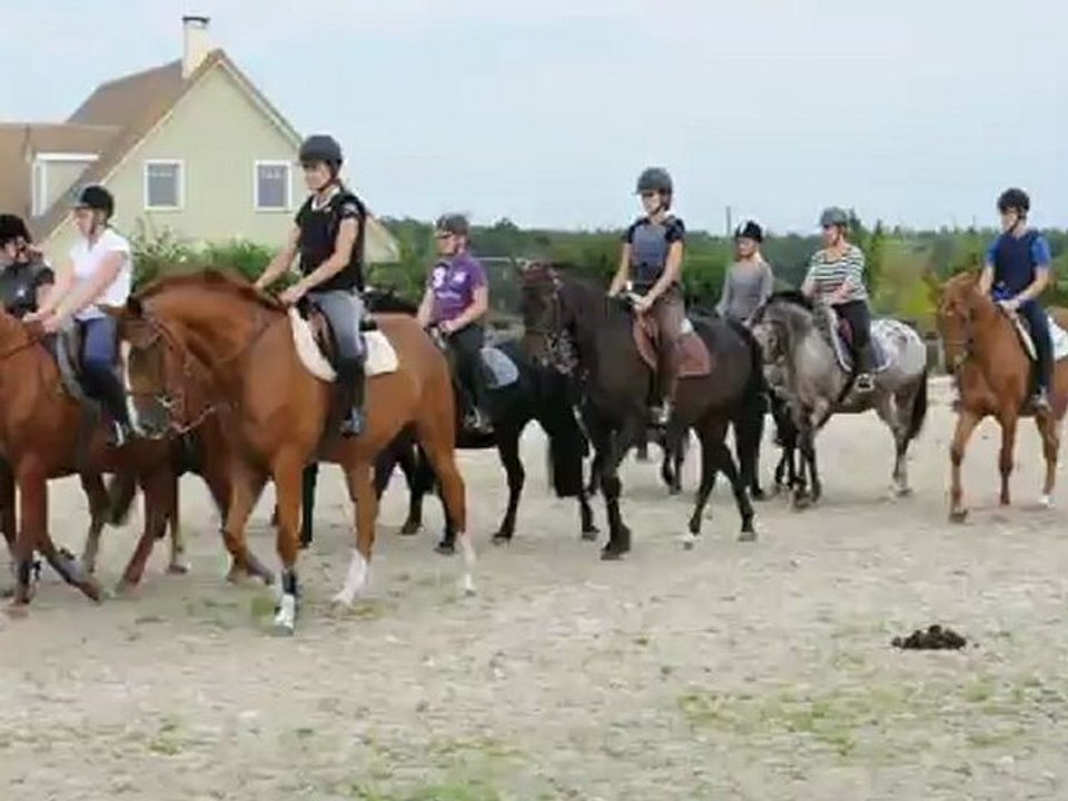 Ecuries de la Forêt : Carrousel