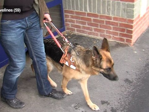 Opal'TV - Le JT - Edition du jeudi 27 septembre 2012