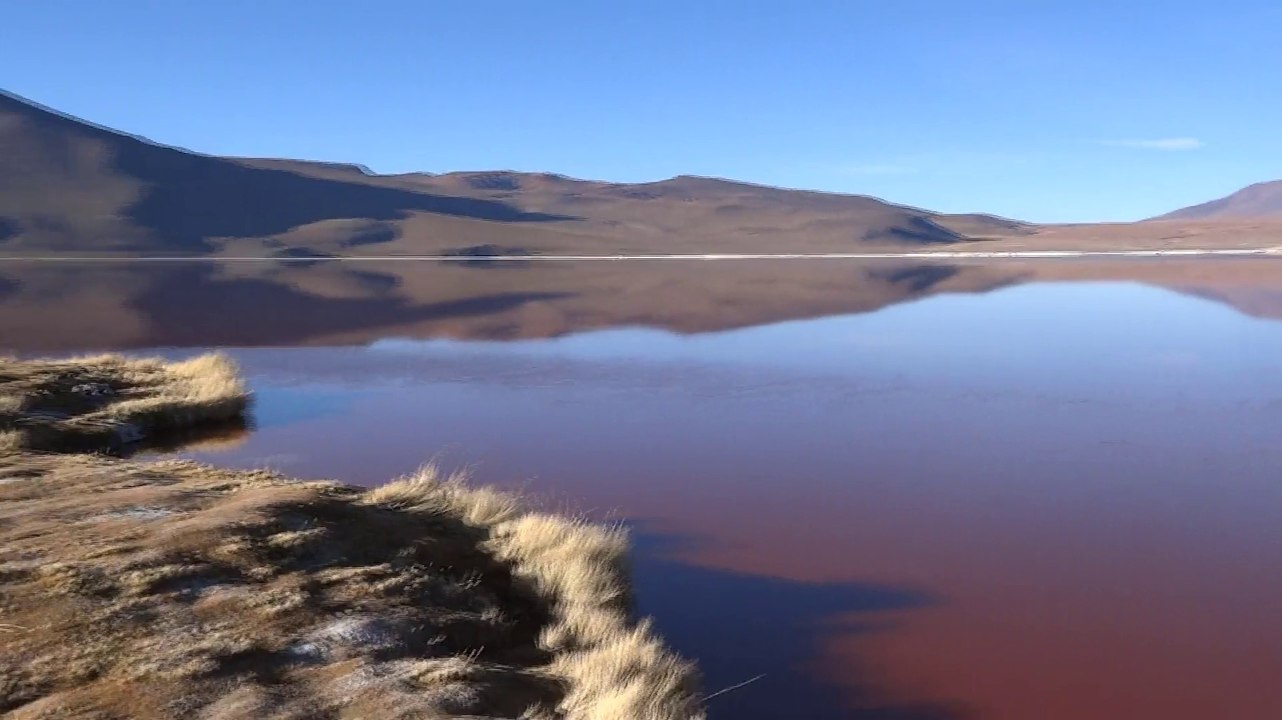 Bolivie- Sud Lipez: Laguna Colorada (2/2)