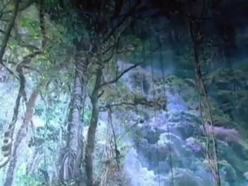 جدار برلين يتحول الى تحفة فنية: | يوروماكس