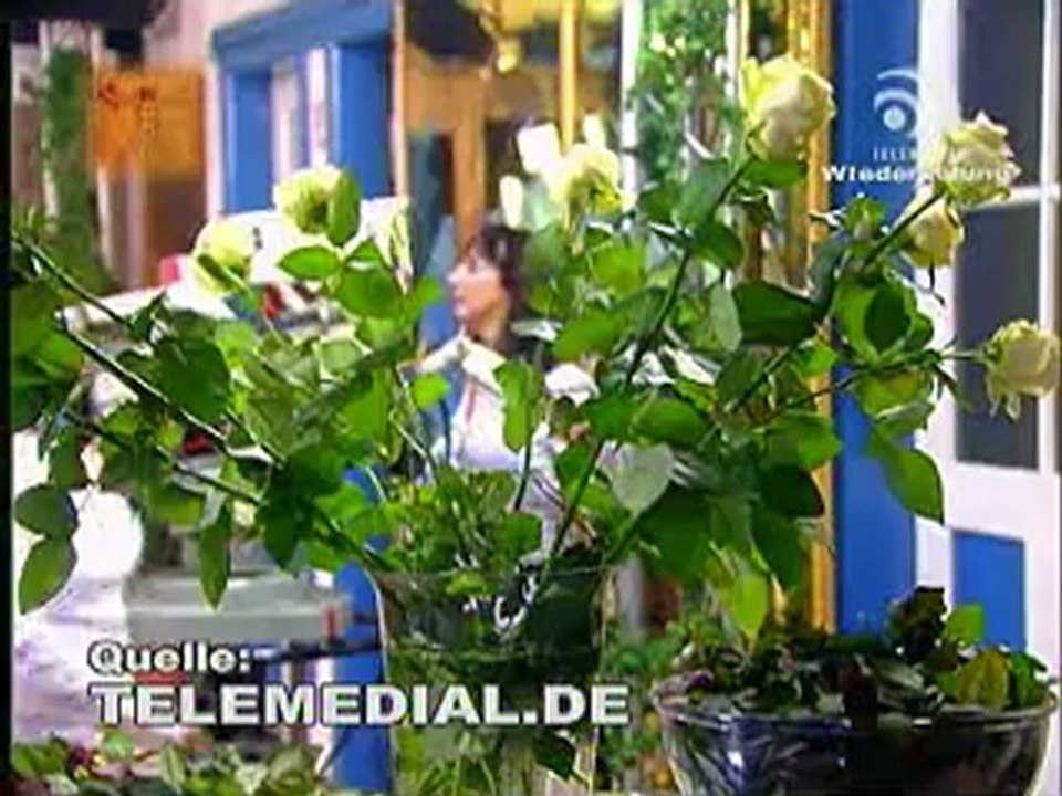 Kanal Telemedial - New Holy Kingdom 10 - December 12, 2008
