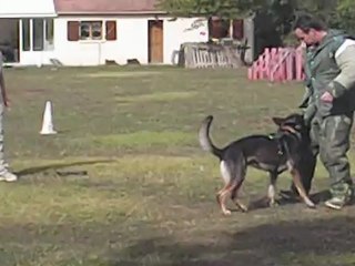 FIRE  DU DOMAINE DE KIRLOFF A L ENTRAINEMENT 09/2012