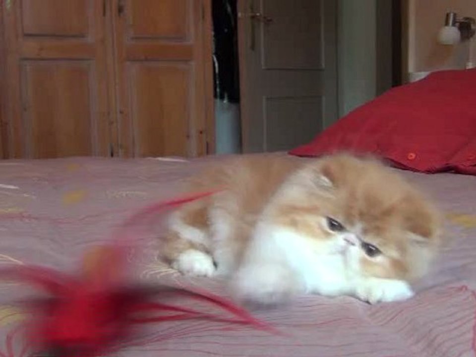 20120927171626
