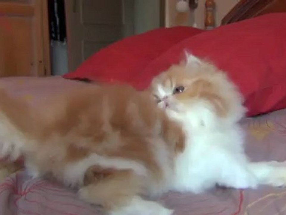 20120927172111