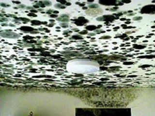 Sick Buidling Syndrome Virginia