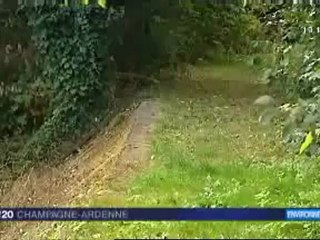 16 kilomètres de digues à rénover autour de Troyes (10)