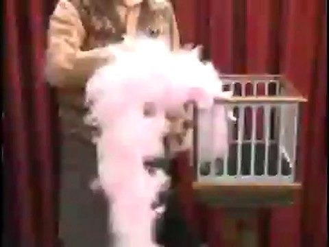 Dove to Rabbit by Mikame - Magic Trick