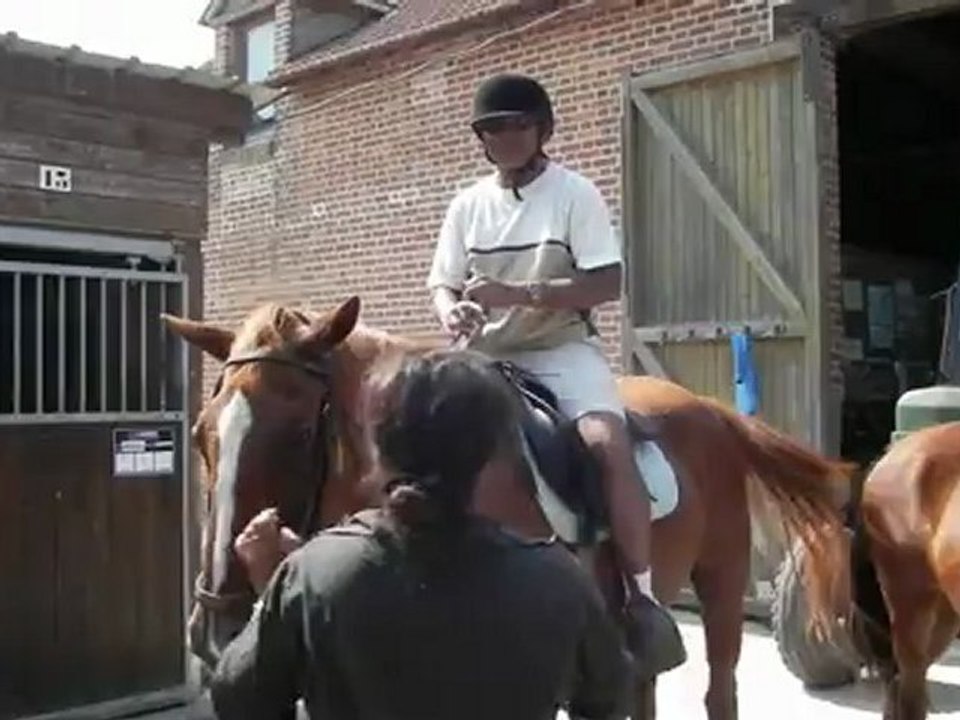 Poney-club de Vinauger (2/12)