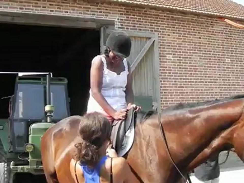 Poney-club de Vinauger (3/12)