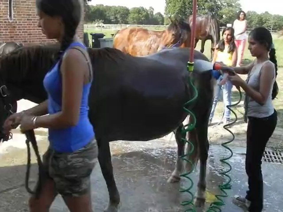 Poney-club de Vinauger (9/12)