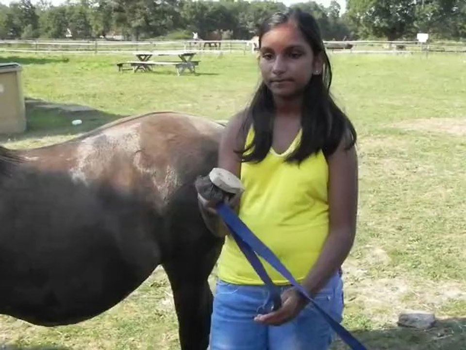 Poney-club de Vinauger (11/12)
