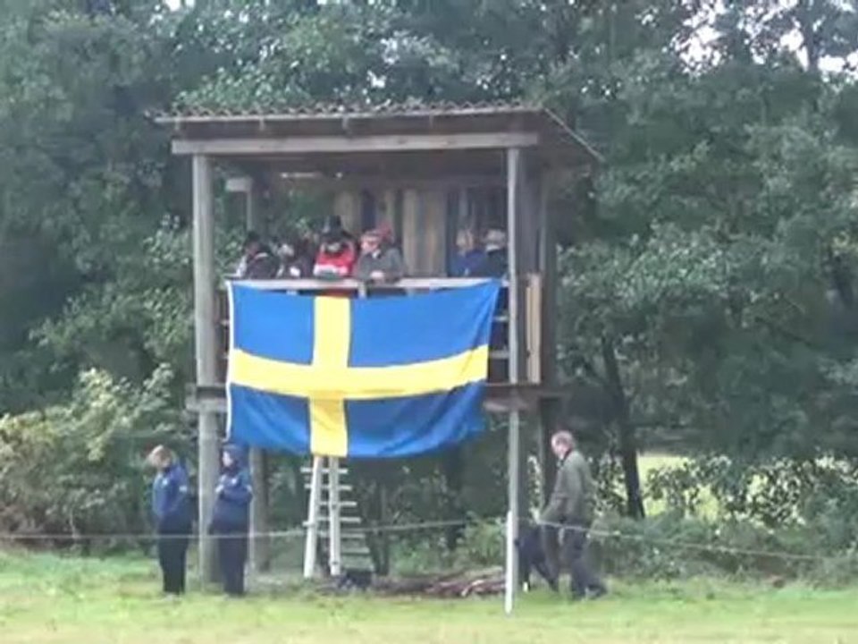 Catraz omdöme terr
