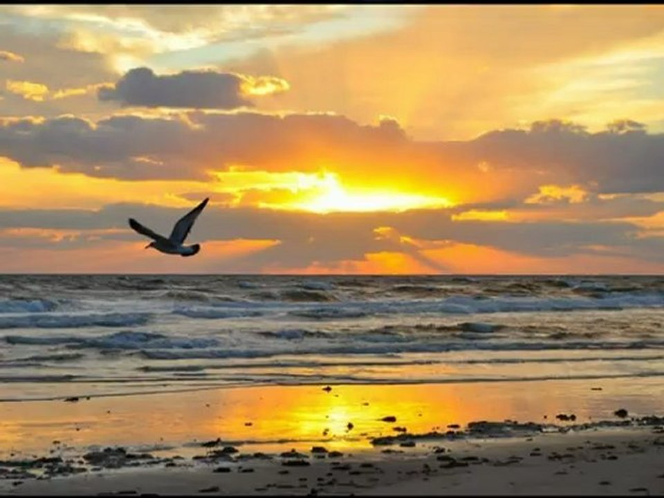 Batsın Bu Dünya Koro  2012 (Orijinal) Orhan Gencebay İle Bir Ömür -  [Yüksek Kalite]