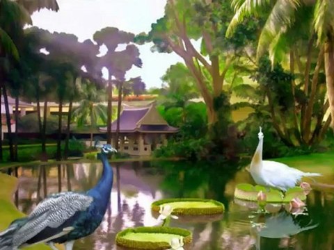 Grup 84 Dokunma Orhan Gencebay ile Bir Ömür 2012 - [Yüksek Kalite]