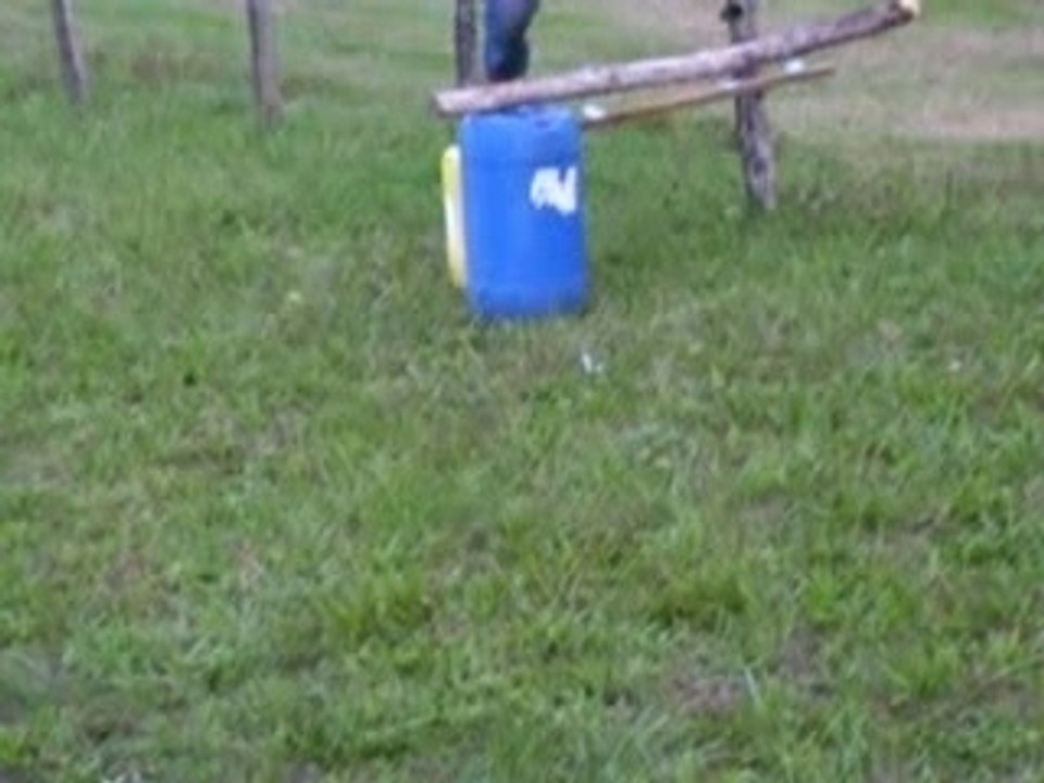 Emilie à l'obstacle