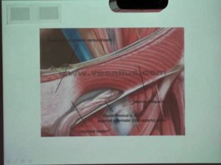 Prof. Dr. Anıl Çubukcu