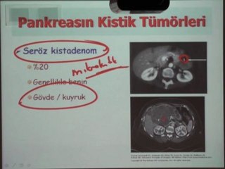 Prof. Dr. Anıl Çubukcu