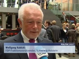 Kanzlerkandidatensuche bei der SPD - wer solls machen? | Politik direkt