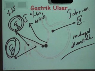 Prof. Anıl Çubukcu