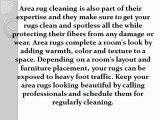 Protecting and cleaning your carpets and area rugs