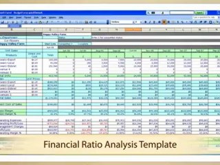 Excel Worksheets & Templates from CFOTemplates 📊