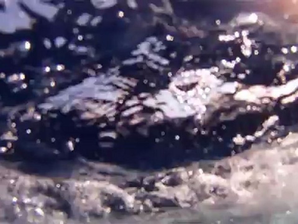 Nage avec les Dauphins 2012 - Bateau Annett à Cannes – Mandelieu en France