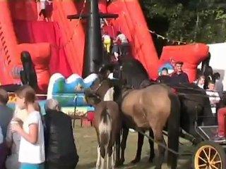 GOCHA - Kapela Średzioki