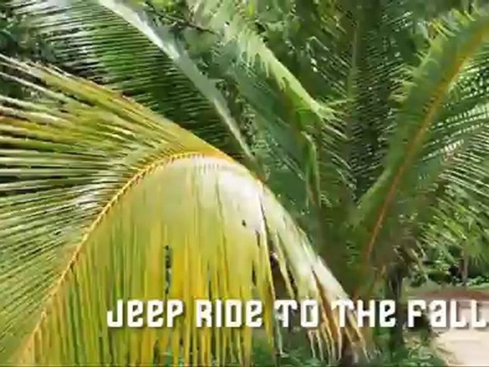 Luxury Villa Rentals Koh Samui supporters of the Koh Samui Car Free Week