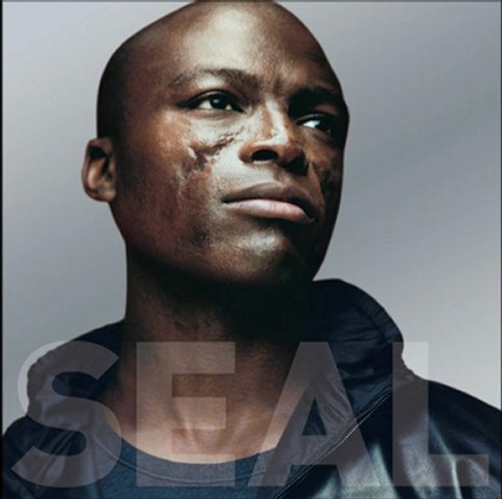 seal crazy