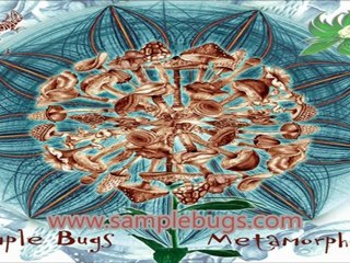 Sample Bugs - See Of Spore (Official) HD