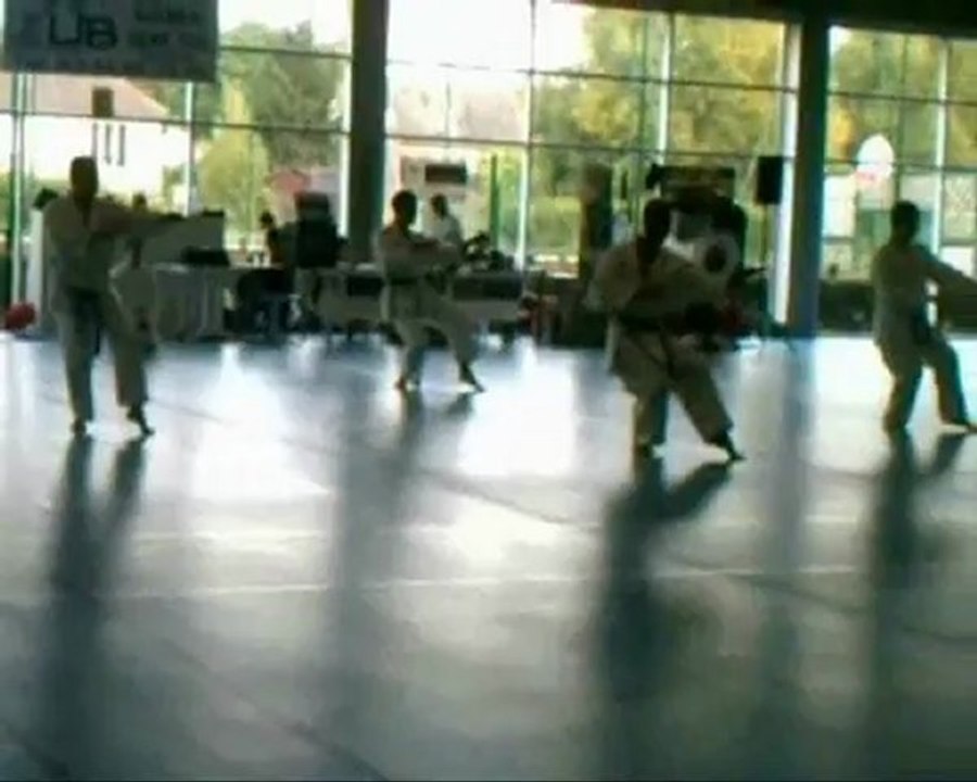 Démonstration Shito Ryu Karate Do 23 09 2012 Guiscard