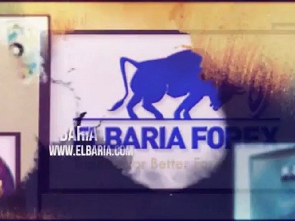 ספרות שוק ההון ושוק המטח