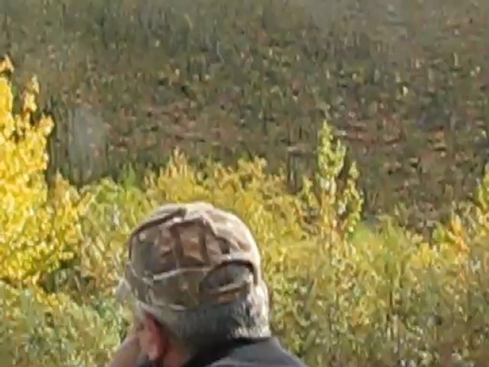 IKINCI KARIBU ATISI CHICKEN