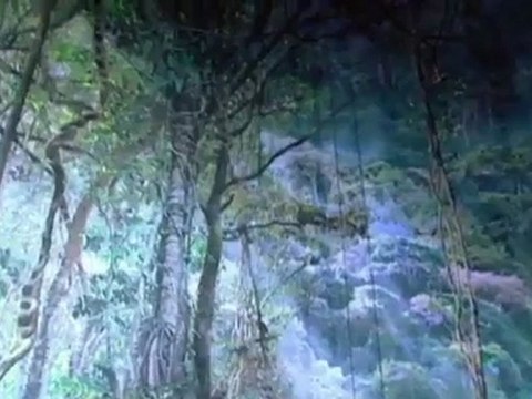 El Muro: nuevo ciclorama de Yadegar Asisi | Euromaxx