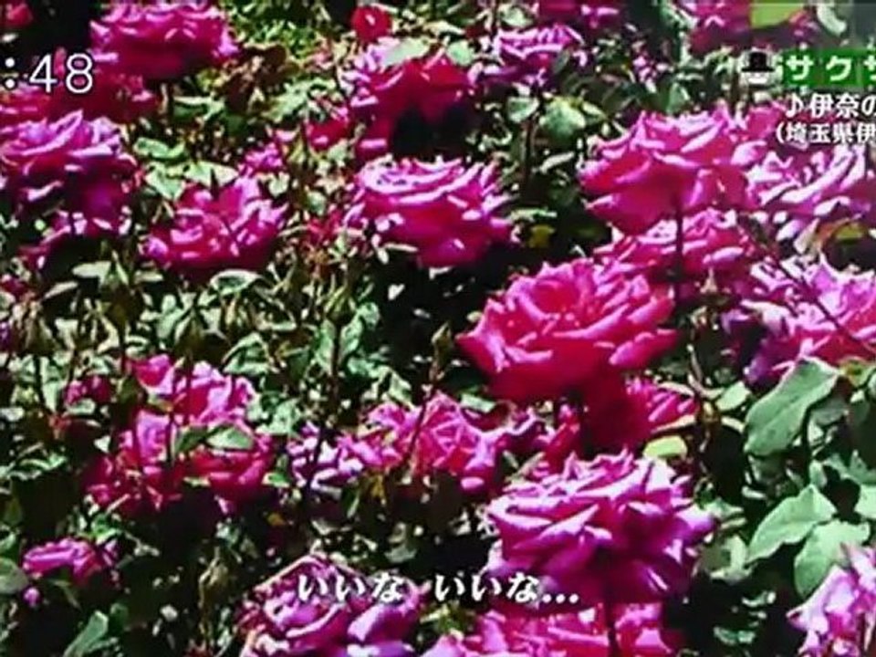 saku saku (20120928-0730 ｔｖｋ)-03
