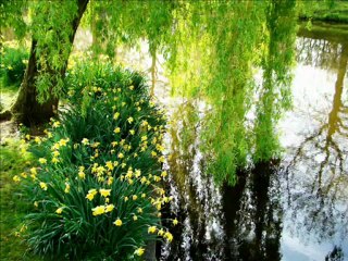 2010-04-29 - Woden Clogs & Zaanse Schanse