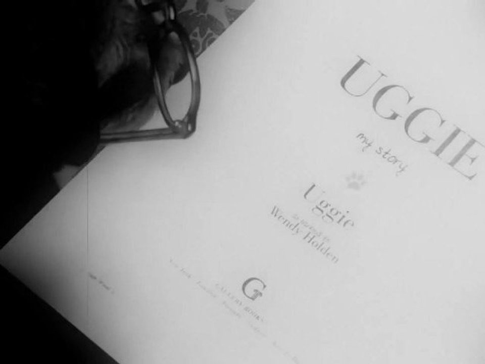 Uggie: My Story