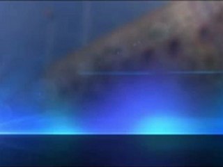 Générique de Fin - La Famille Pirate