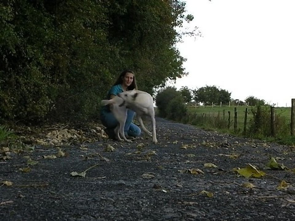 Entrainement fin septembre