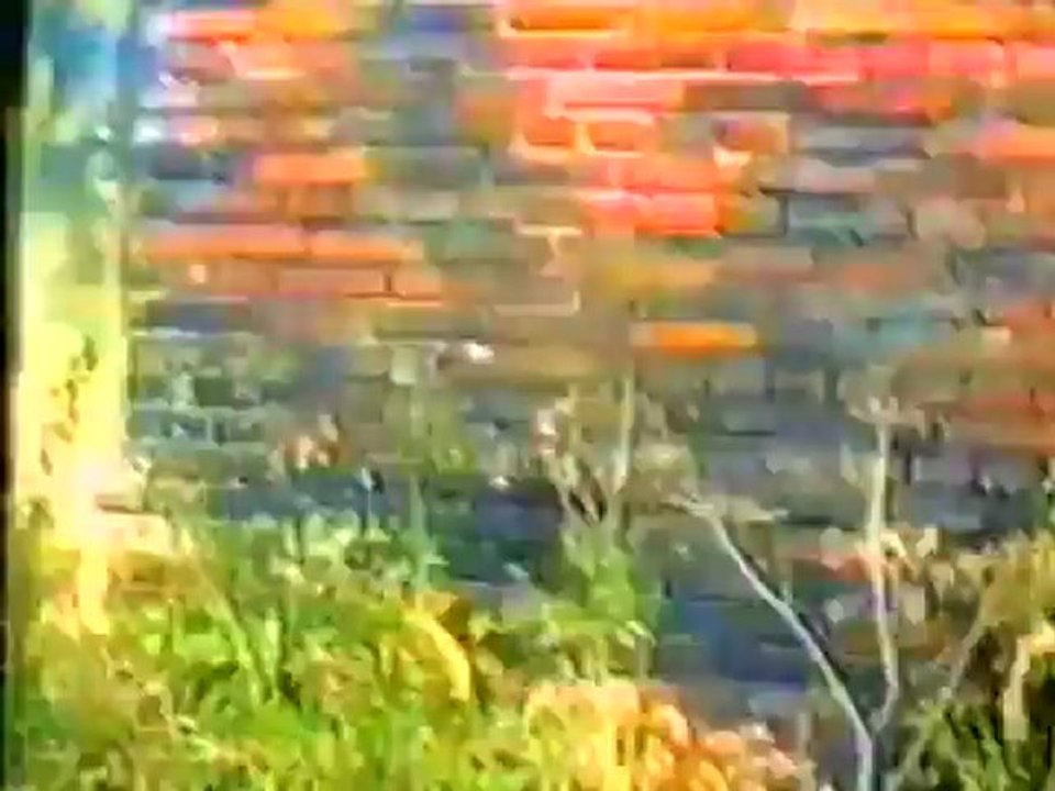 (1 of 4) David Cole on 'Donahue' Show 1994