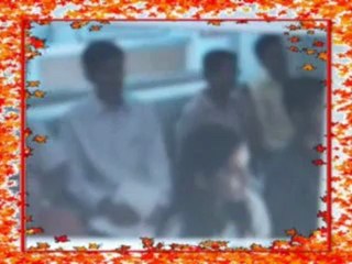 ACCM [High quality and size]