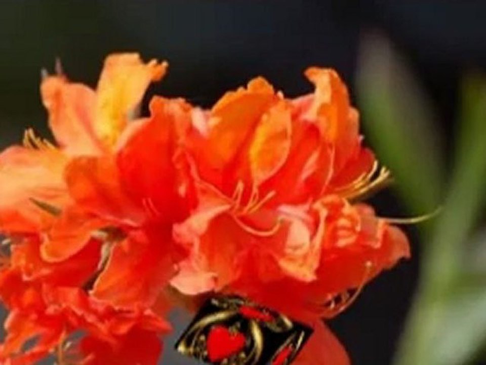 Psalm dla Ciebie Piotr Rubik