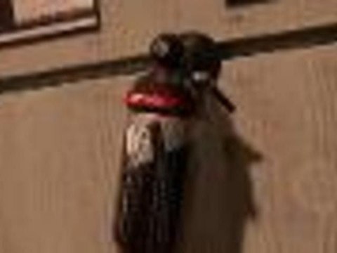 DT Swiss X313 and Spline wheels - Eurobike 2012