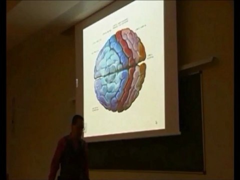 Neurologia 09 - Lenguaje El Taller de Prometeo - Prof Manuel Lafarga