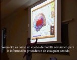 Neurologia 12 - Musica y Lenguaje Funcion del area de Wernicke - Prof Manuel Lafarga