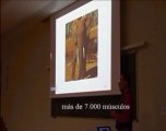 Neurologia 24 - Percepcion Haptica Alonzo Clemons - Prof Manuel Lafarga